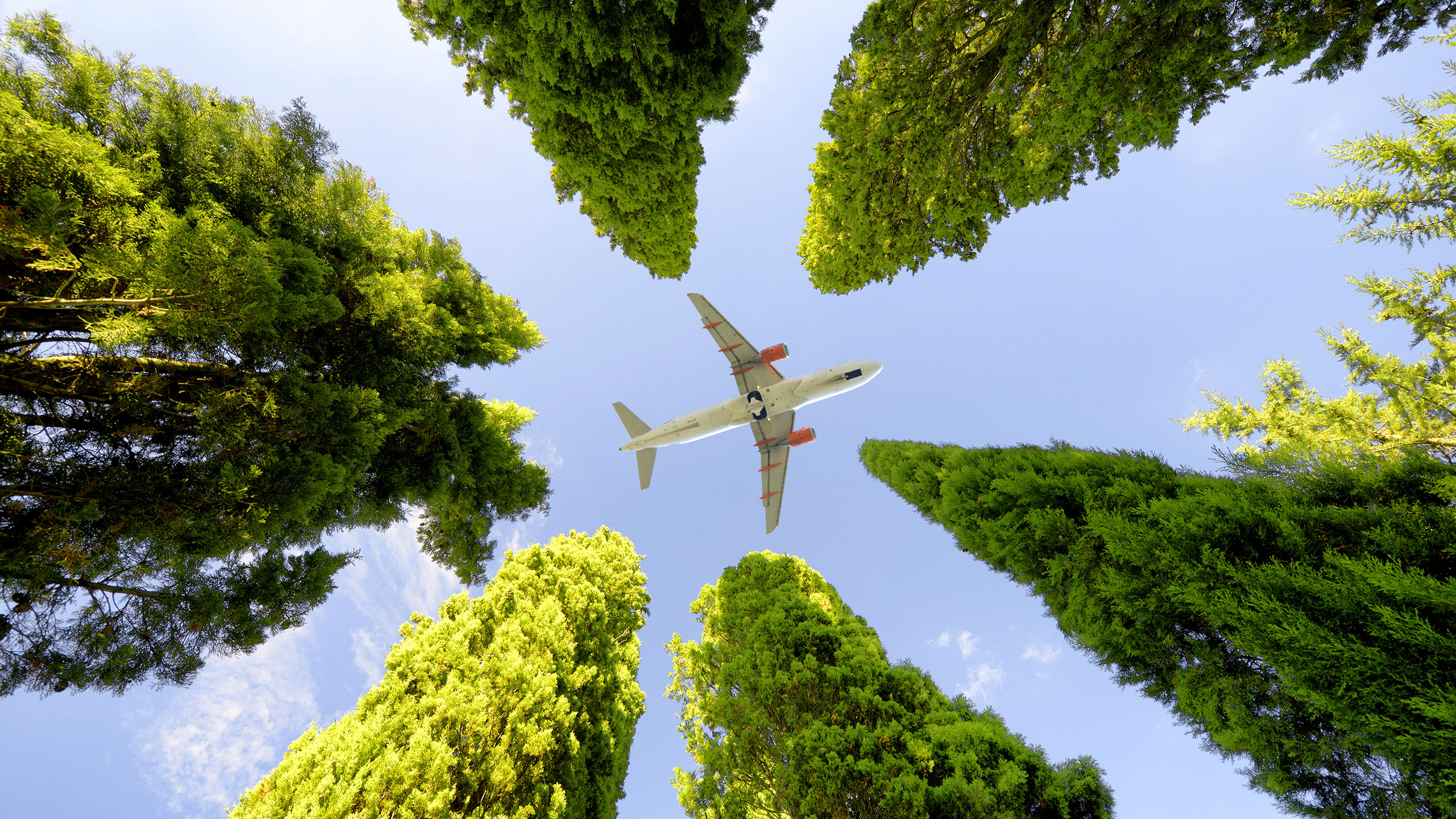 Полет на самолете влияет. Экологичный самолет. Самолет и природа. Авиация и экология. Самолет и экология.